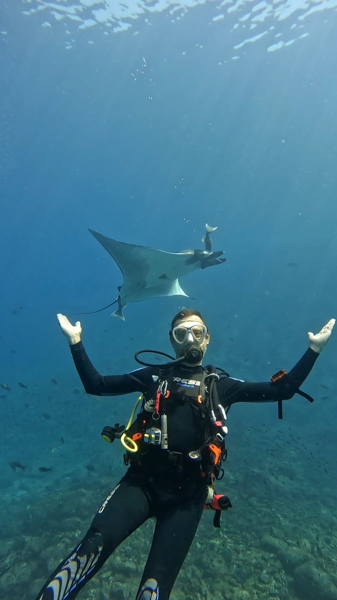 Diver Carolina manta ray La Reina La Paz Mexico