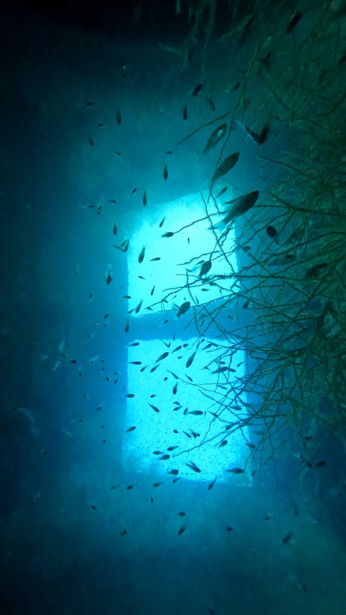 Fang Ming wreck hublots light fish La Paz Mexico